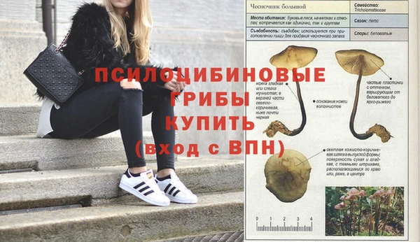 соль курить ск Алексеевка