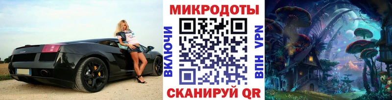 где купить   Кандалакша  Псилоцибиновые грибы Psilocybe 